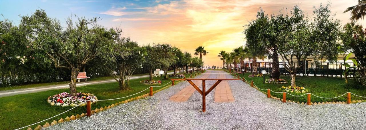 Hotel Parco Dei Principi Scalea Εξωτερικό φωτογραφία